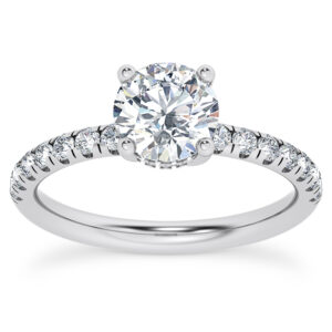 Round Diamond Hidden Diamond Halo Engagement Ring
